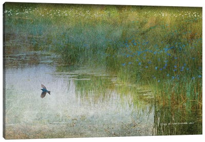 Wetland Tree Swallow Canvas Art Print - Grass Art