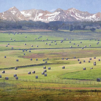 Cherry Creek Haybales II by Christopher Vest metal wall art
