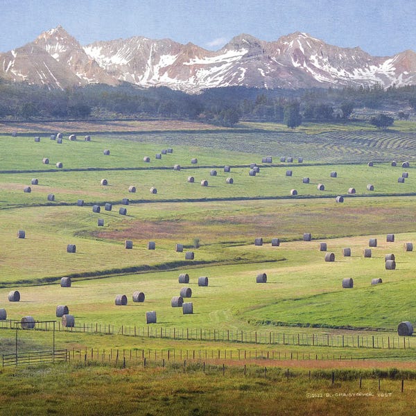 Christopher Vest: Cherry Creek Haybales II by Christopher Vest