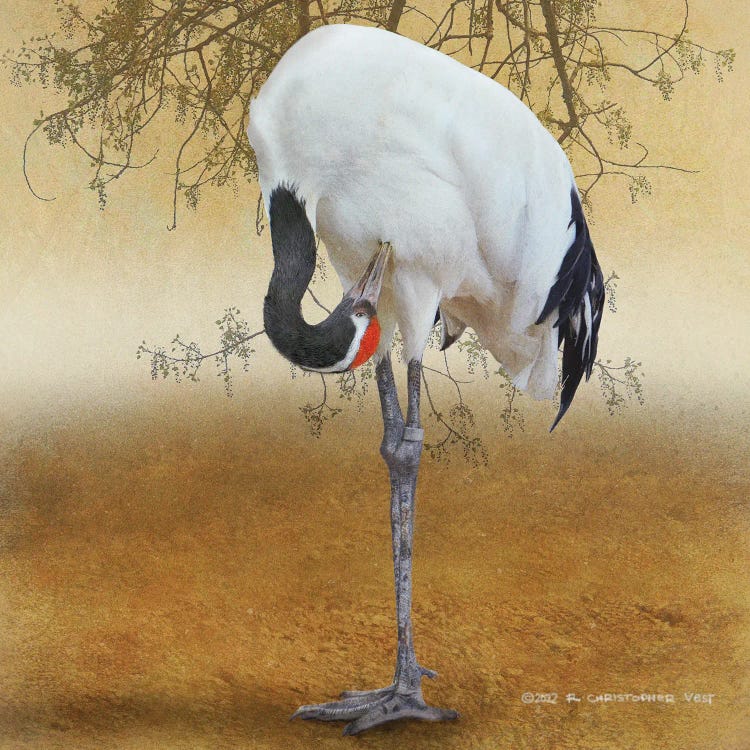 Red Crowned Crane