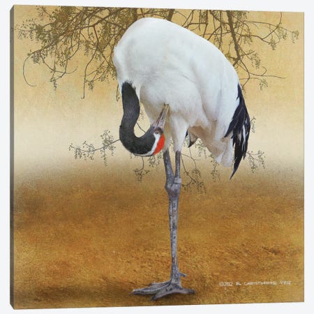 Red Crowned Crane Canvas Print #CHV86} by Christopher Vest Canvas Print