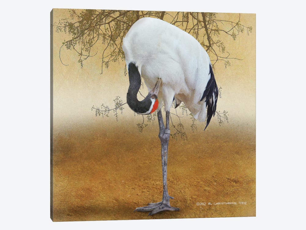 Red Crowned Crane by Christopher Vest 1-piece Canvas Print