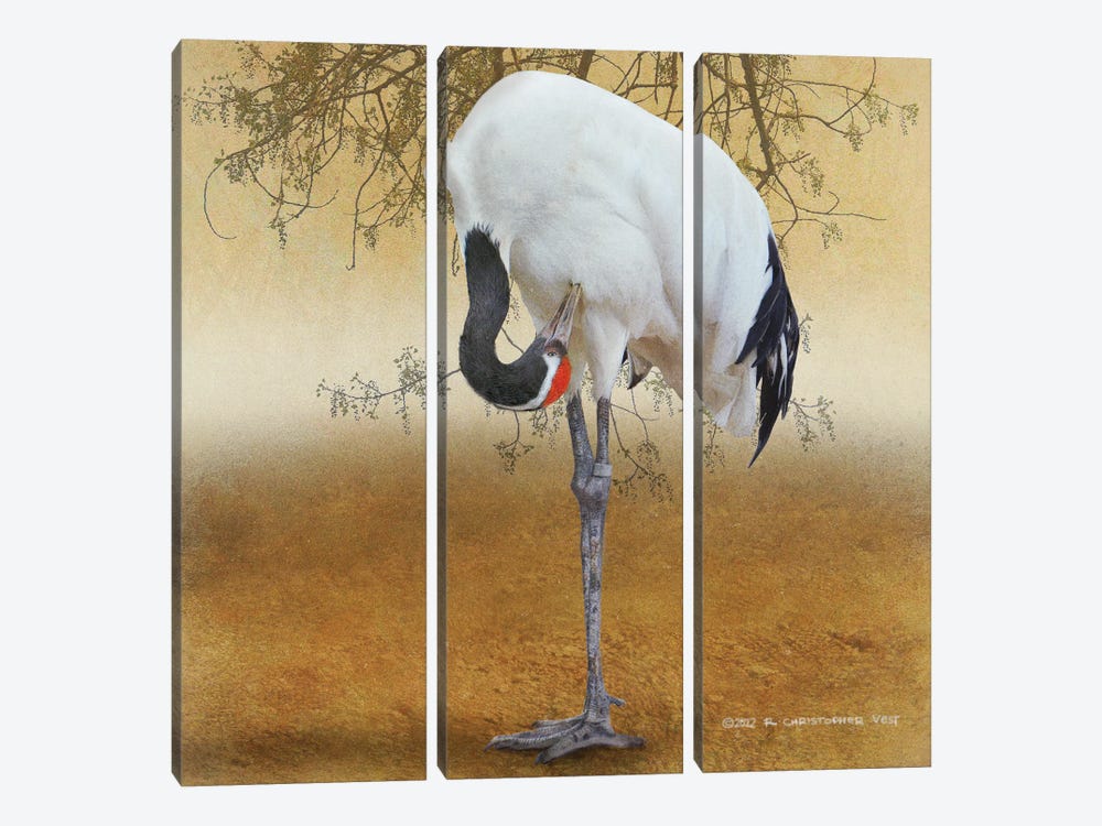 Red Crowned Crane by Christopher Vest 3-piece Canvas Print
