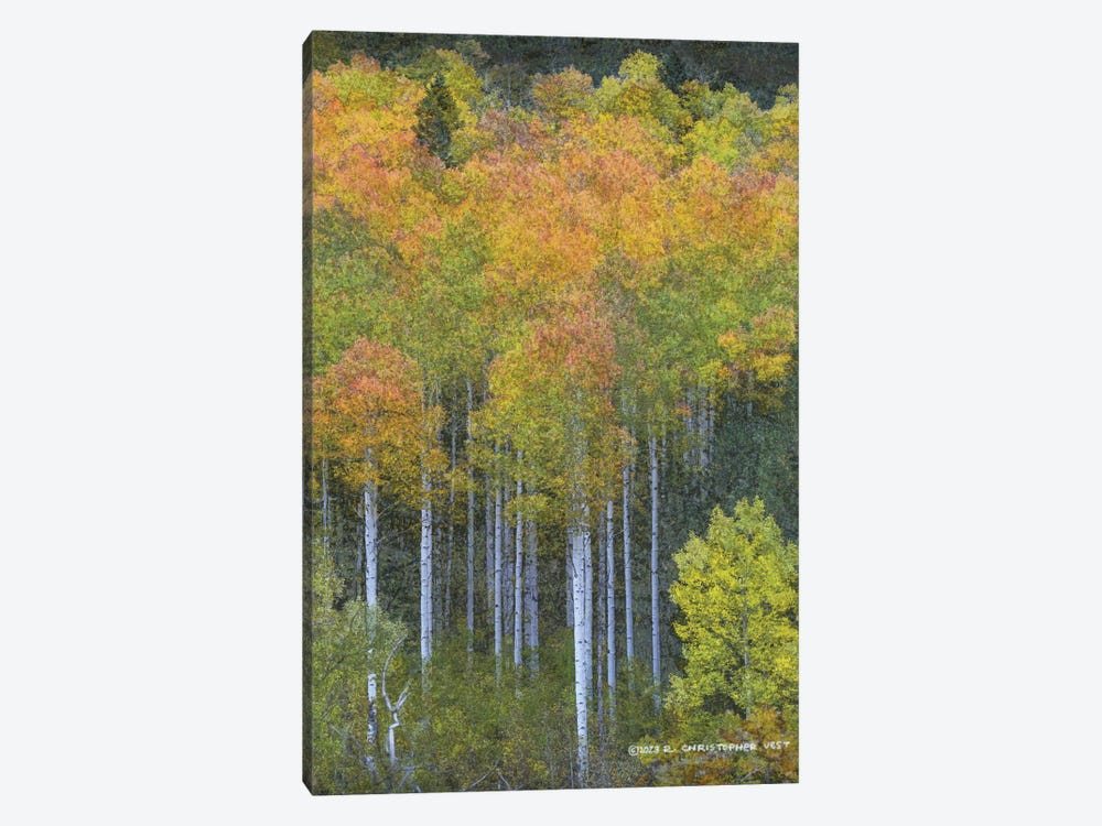 Aspen Natural Abstract by Christopher Vest 1-piece Canvas Artwork