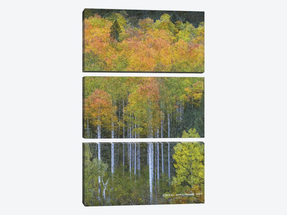 Aspen Natural Abstract by Christopher Vest 3-piece Canvas Wall Art