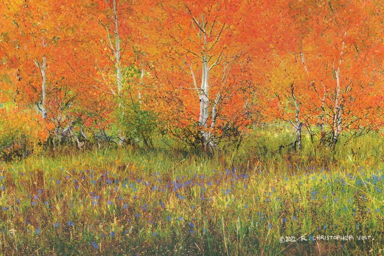 Orange Aspens by Christopher Vest wall art