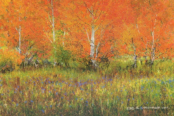 Aspen Trees: Orange Aspens by Christopher Vest