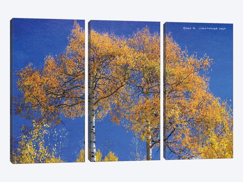 Looking Up At Twin Aspen Trees by Christopher Vest 3-piece Canvas Art