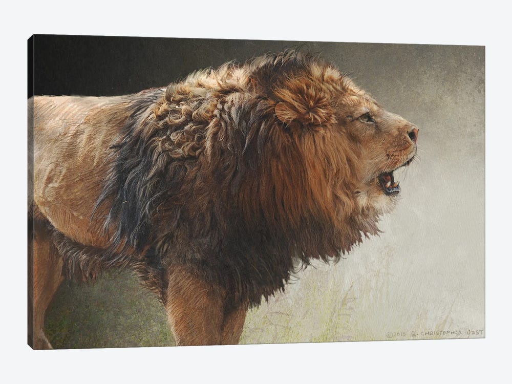 Roaring Lion by Christopher Vest 1-piece Canvas Art