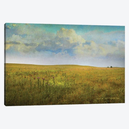Tallgrass Prairie Canvas Print #CHV90} by Christopher Vest Canvas Print