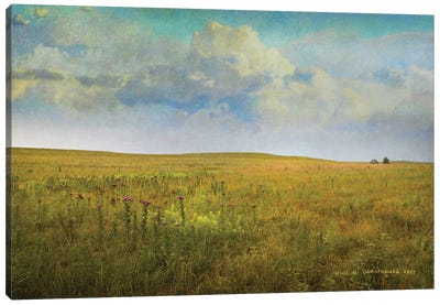 Tallgrass Prairie Canvas Art Print - Country Décor