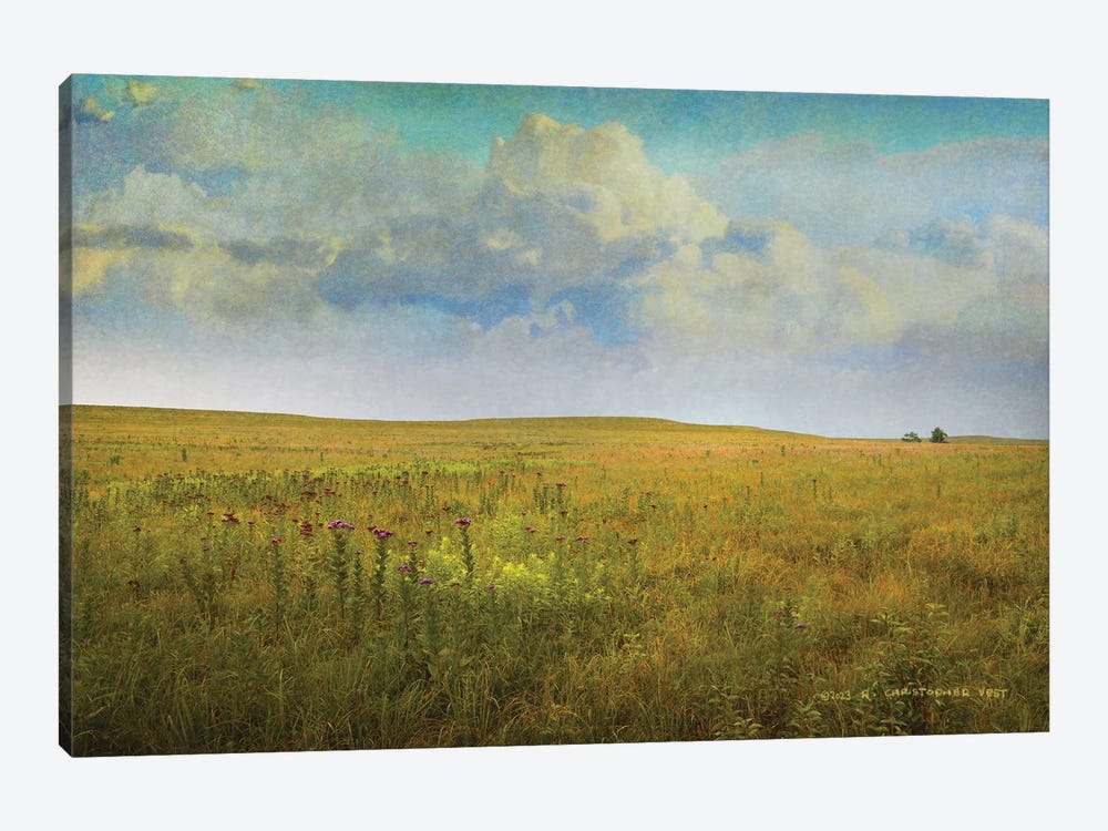 Tallgrass Prairie by Christopher Vest 1-piece Canvas Art