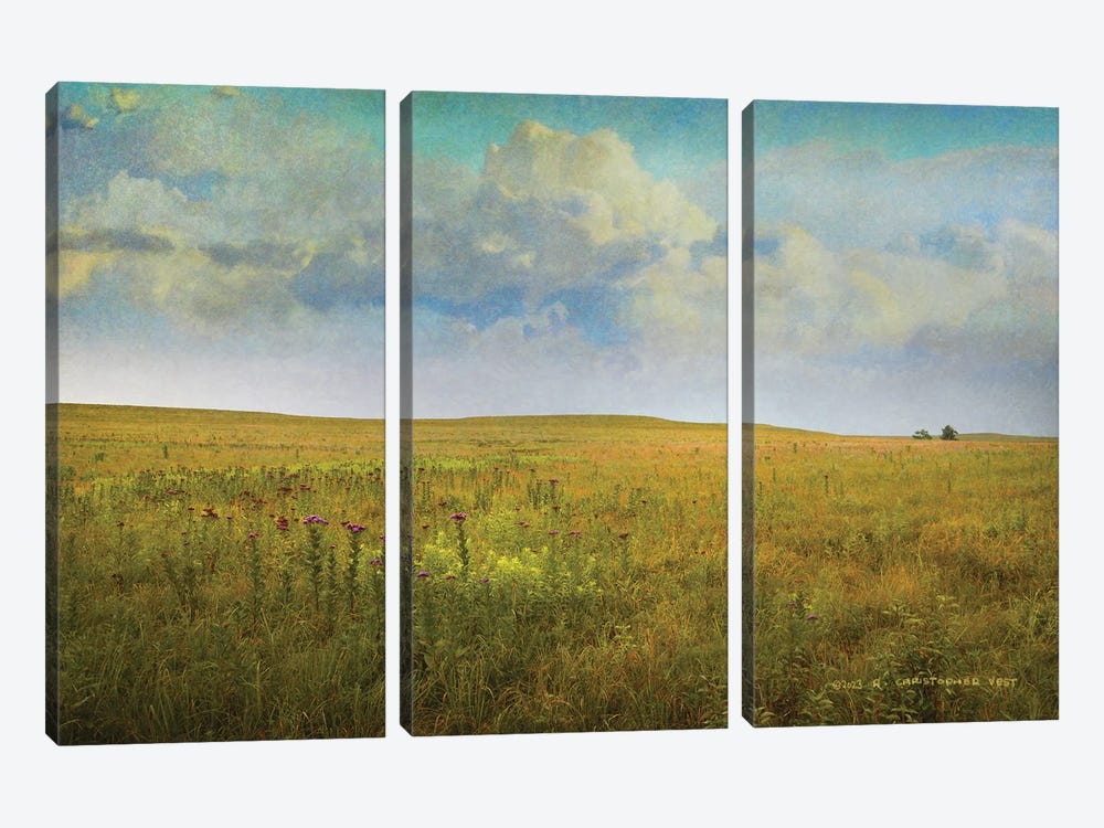 Tallgrass Prairie by Christopher Vest 3-piece Canvas Art