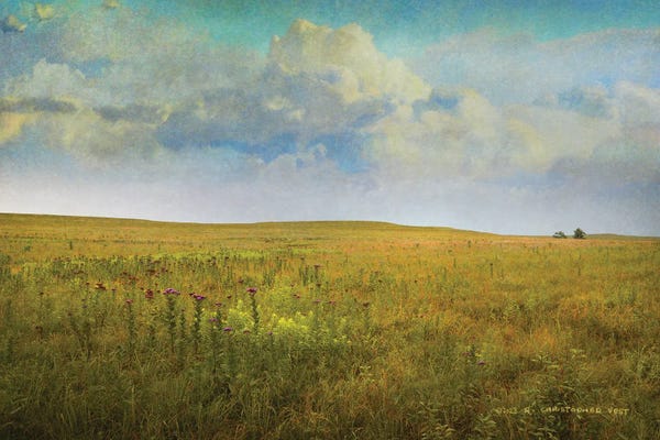 Tallgrass Prairie