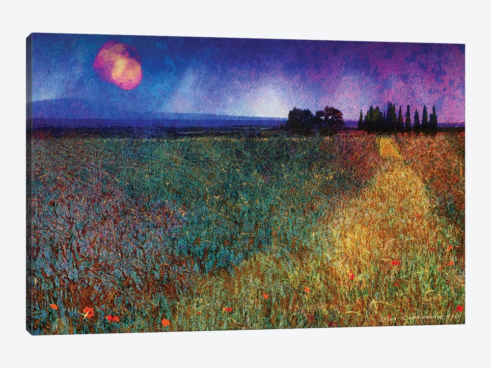 Wheat Field And Trees by Christopher Vest 1-piece Canvas Print