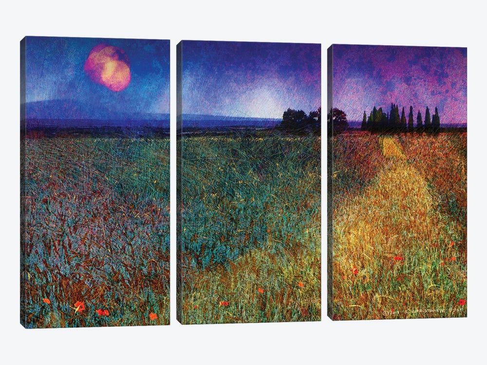 Wheat Field And Trees by Christopher Vest 3-piece Canvas Print