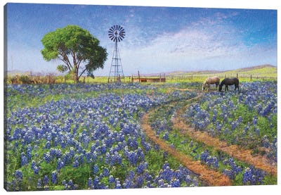 Windmill Landscape Canvas Art Print - Field, Grassland & Meadow Art