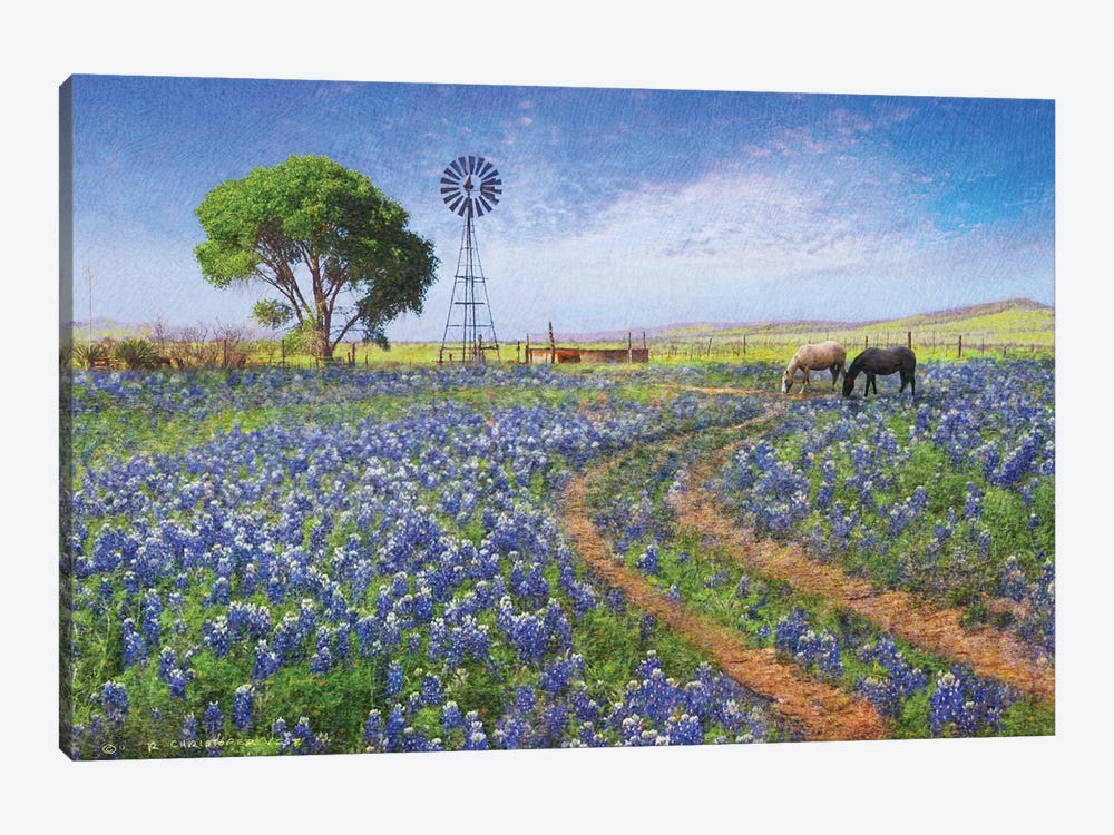 Windmill Landscape by Christopher Vest 1-piece Canvas Wall Art