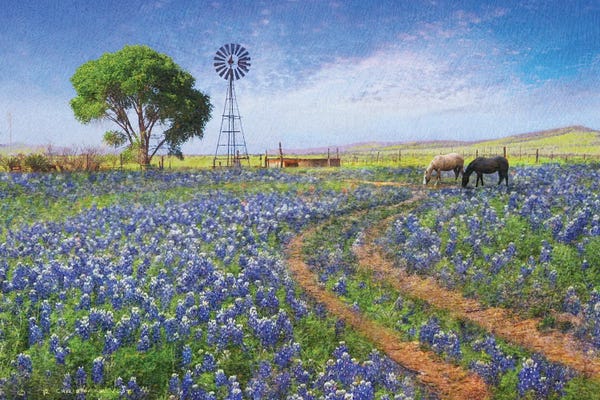 Watermills & Windmills: Windmill Landscape by Christopher Vest