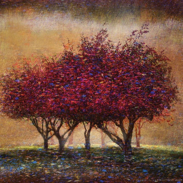 Christopher Vest: Crabapple Blossoms by Christopher Vest