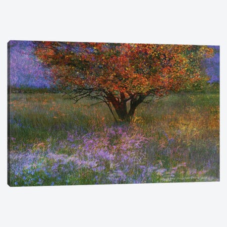 Lone Tree Flowered Meadow Canvas Print #CHV94} by Christopher Vest Canvas Wall Art