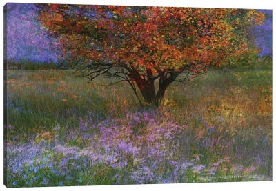 Lone Tree Flowered Meadow Canvas Art Print