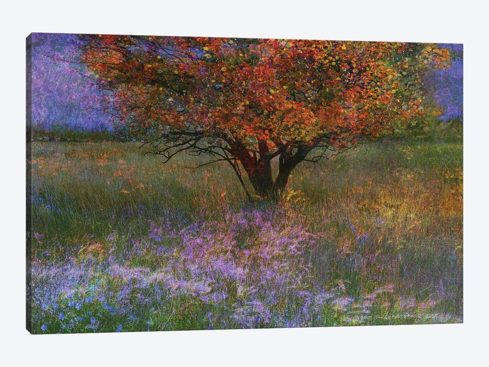 Lone Tree Flowered Meadow by Christopher Vest 1-piece Canvas Artwork