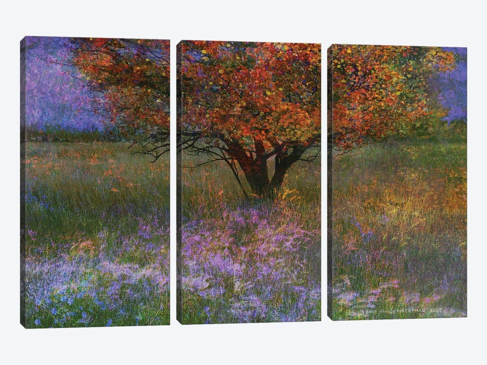 Lone Tree Flowered Meadow by Christopher Vest 3-piece Canvas Art