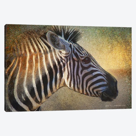 Zebra Portrait Canvas Print #CHV96} by Christopher Vest Canvas Art