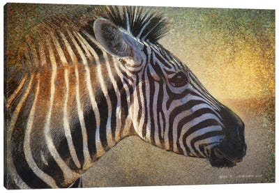 Zebra Portrait Canvas Art Print