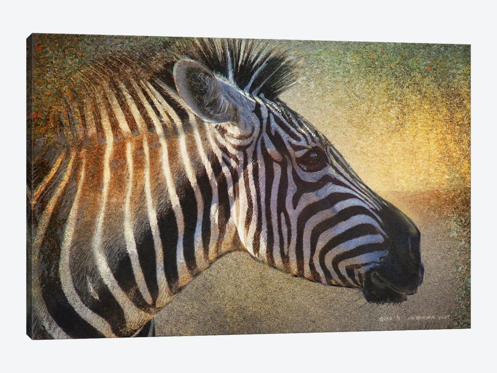 Zebra Portrait by Christopher Vest 1-piece Canvas Wall Art