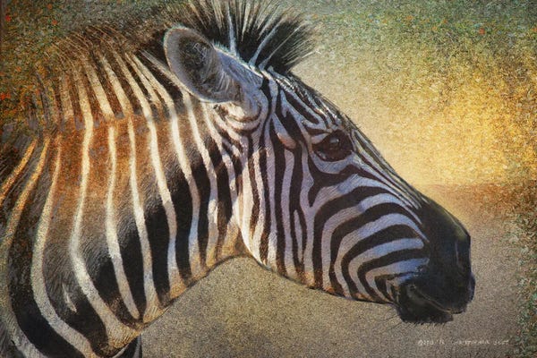 Christopher Vest: Zebra Portrait by Christopher Vest