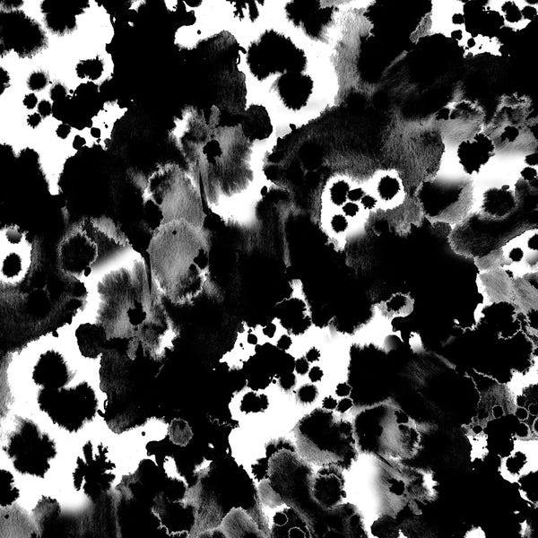 Charlotte Winter: Blaire B&W by Charlotte Winter