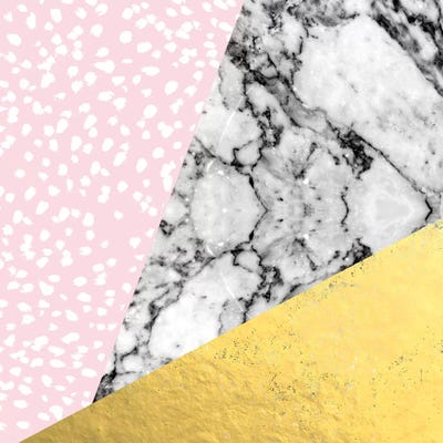 Corvi by Charlotte Winter canvas print