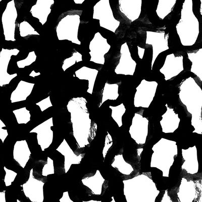 Elia B&W by Charlotte Winter canvas print