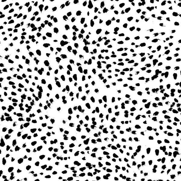 Black & White Patterns: Nadia B&W by Charlotte Winter