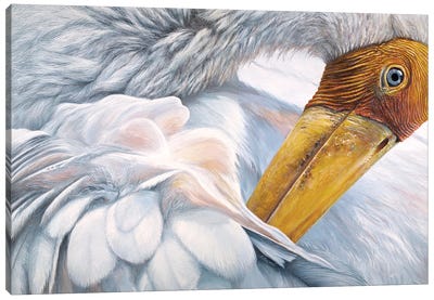 Ruffled III Canvas Art Print - Feather Art