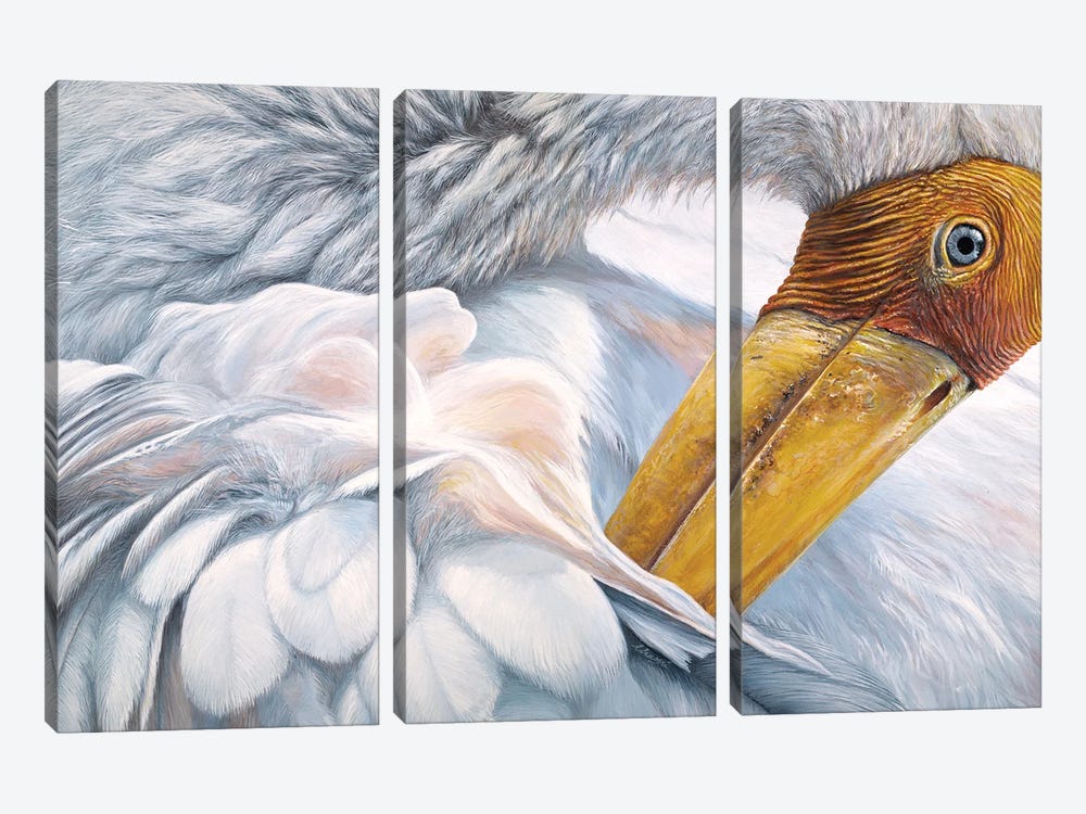 Ruffled III by Chami's Art 3-piece Canvas Print