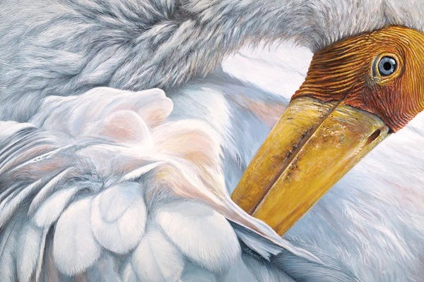 Feathers: Ruffled III by Chami's Art