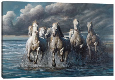 Thunder Canvas Art Print - Horse Art