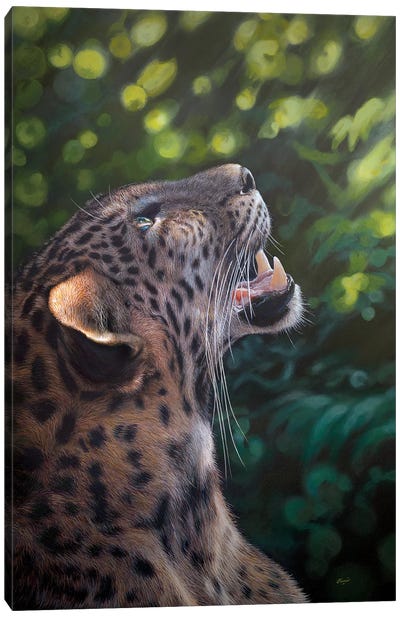 Curious Disney Canvas Art Print - Leopard Art