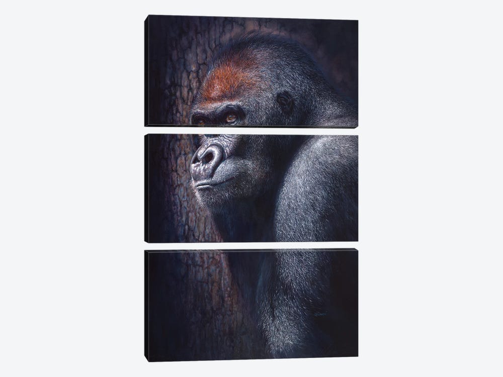 Hope by Chami's Art 3-piece Canvas Print