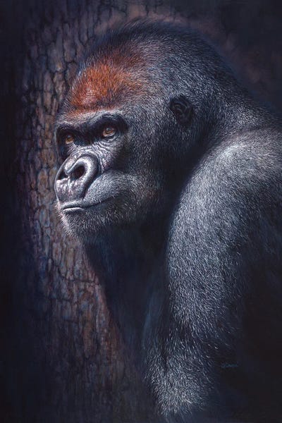 Gorillas: Hope by Chami's Art
