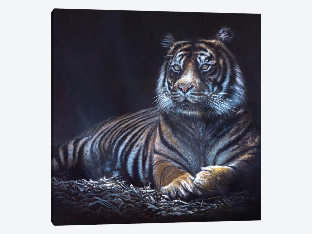 Into The Shadows by Chami's Art 1-piece Canvas Artwork