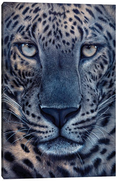 Julius Canvas Art Print - Leopard Art