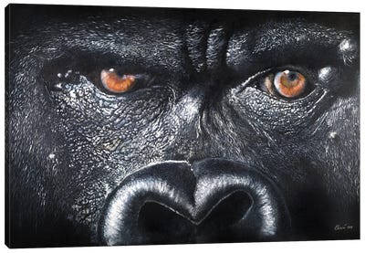Soul Canvas Art Print - Gorilla Art