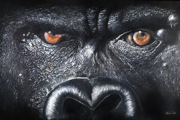 Gorillas: Soul by Chami's Art