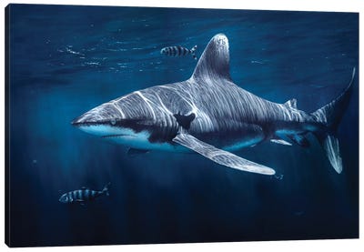 Together Canvas Art Print - Shark Art