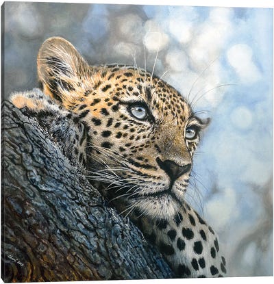 Relaxed Canvas Art Print - Leopard Art