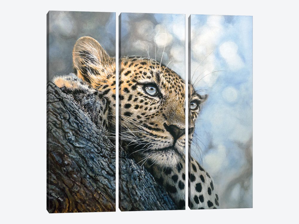 Relaxed by Chami's Art 3-piece Canvas Art Print